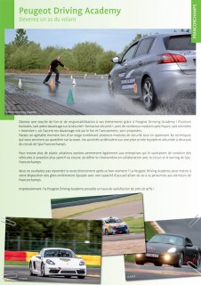Peugeot Driving Academy