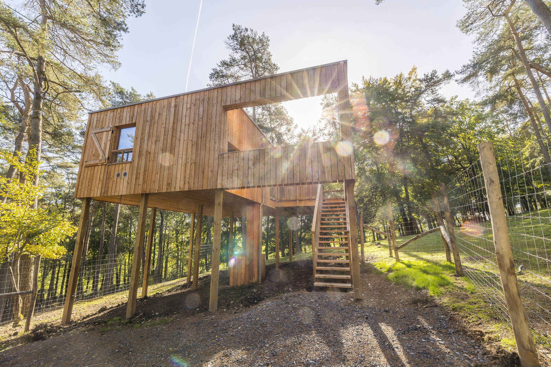 Forestia - Lodge Scott