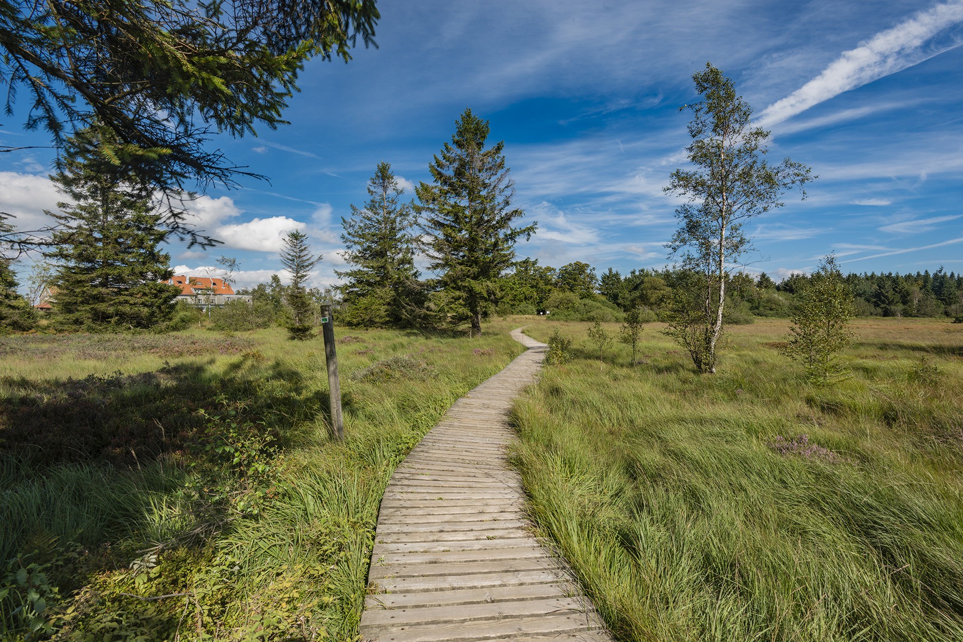 Wandelingen Hoge Venen