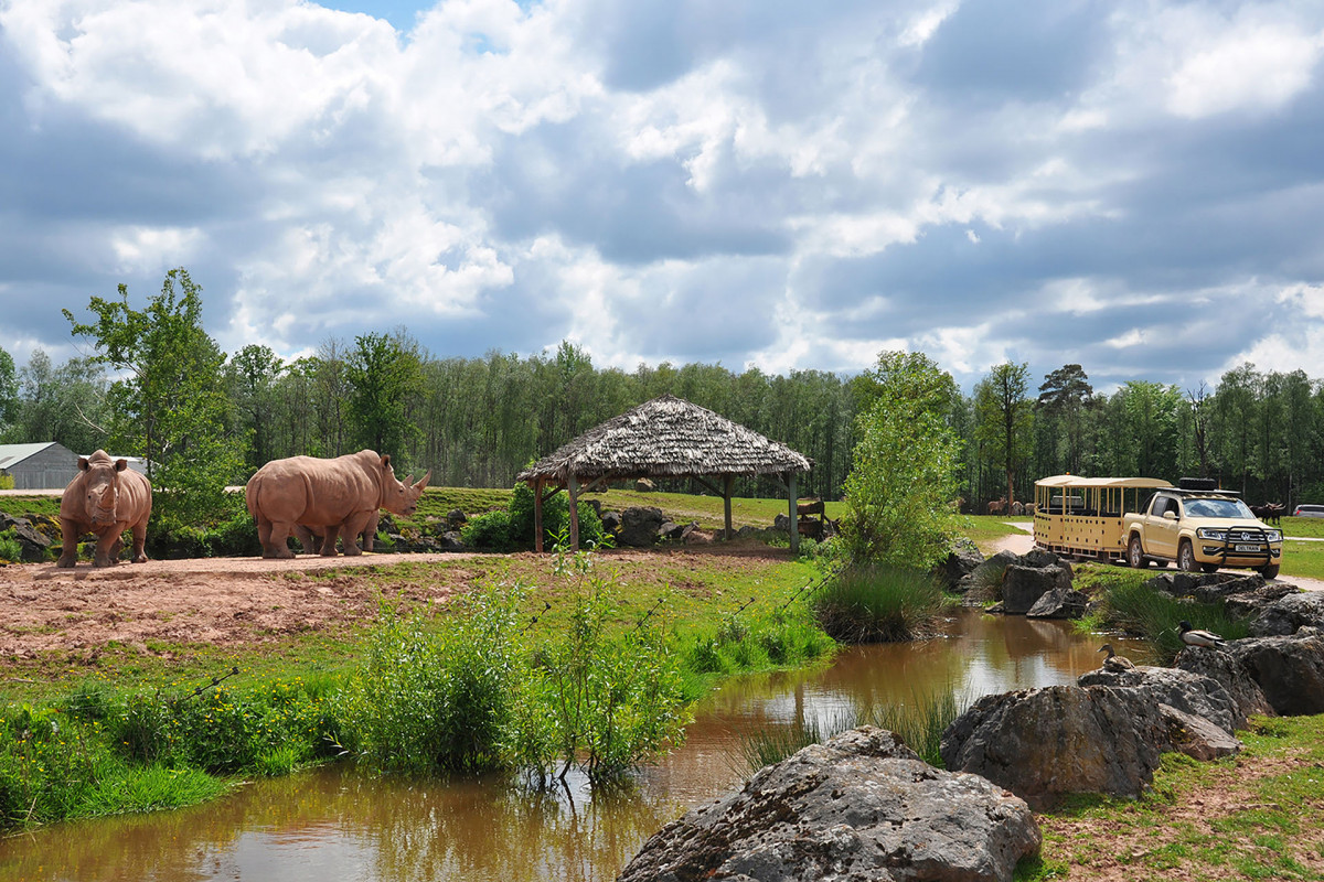 Monde Sauvage Safari - Aywaille - Parcours safari - Petit train - Rhinocéros