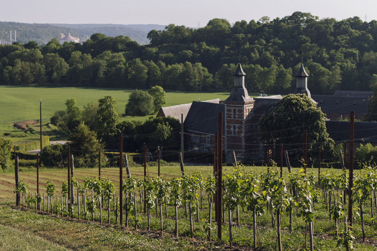 Terres du Val - Wanze - Extérieur - Vue depuis les vignes - © Maurine Toussaint Terres du Val - Wanze - Extérieur - Vue depuis les vignes