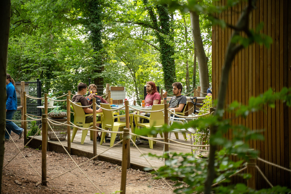 SpaForest - Jalhay - Terrasse