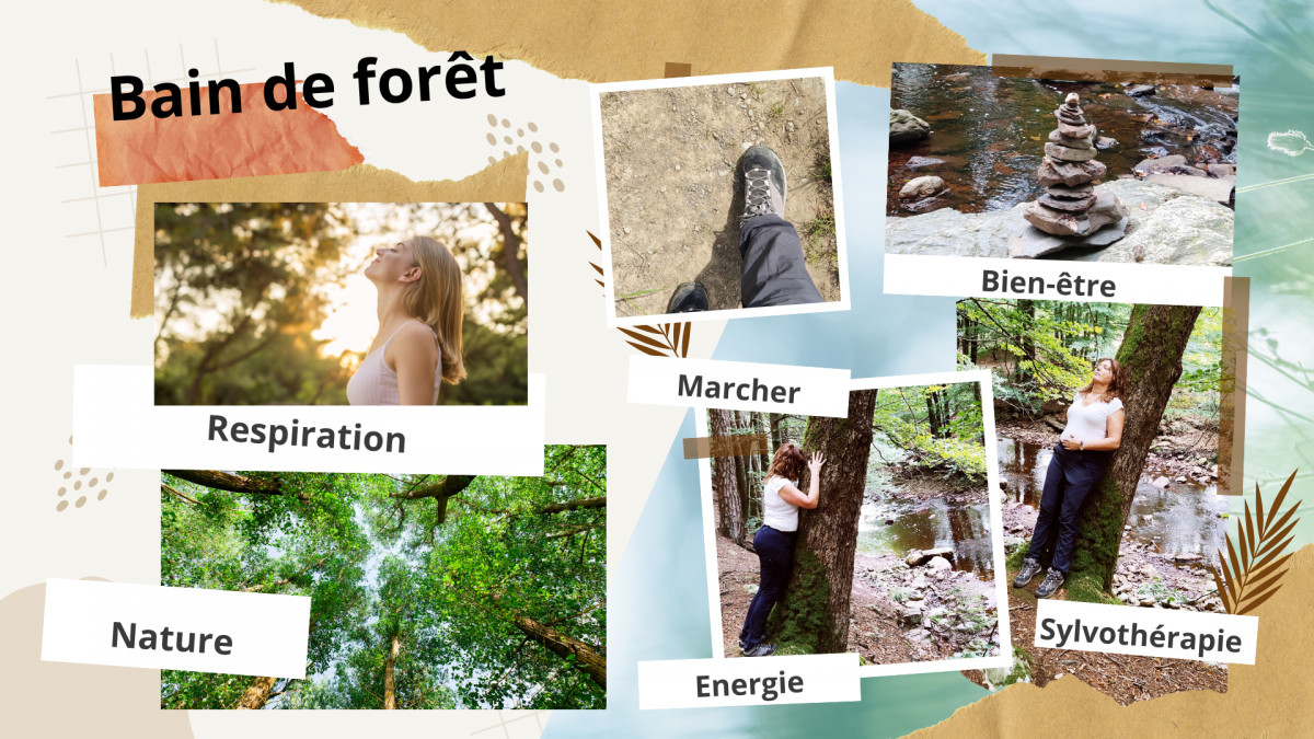 Sylvothérapie avec Joëlle Iland - Xhendremael - Présentation générale