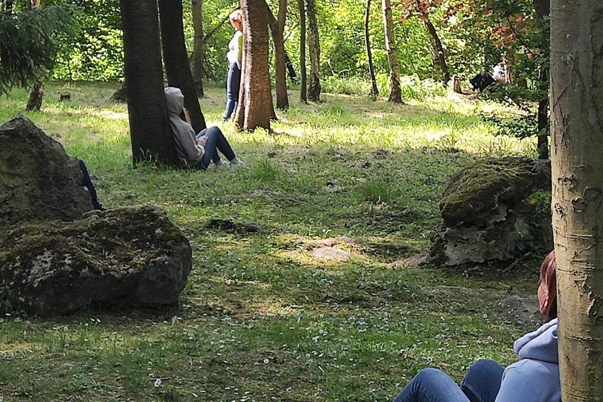 Sylvothérapie avec Joëlle Iland - Xhendremael - Connexion avec un arbre - Groupes