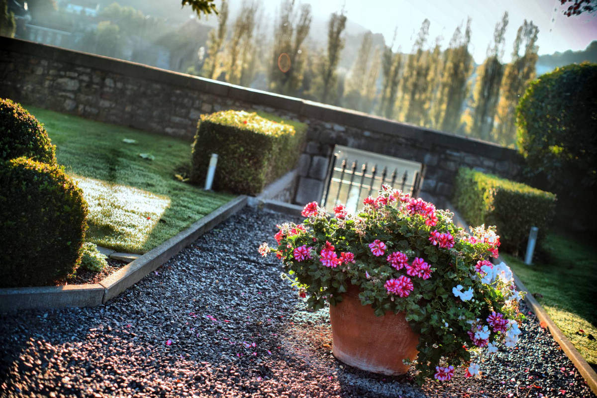 Château Rorive - Amay - Jardin