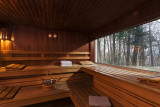 Silva Hôtel Spa-Balmoral - Sauna