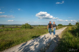 Domaine des Hautes Fagnes - Ovifat - Hautes-Fagnes - Promenade