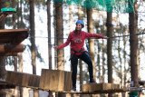 Forestia - Team building - Parc aventure - Parcours dans les arbres