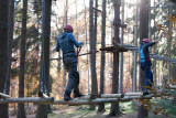 Forestia - Team building - Parc aventure - Parcours dans les arbres