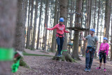 Forestia - Team building - Parc aventure - Parcours dans les arbres