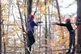 Forestia - Team building - Parc aventure - Parcours dans les arbres