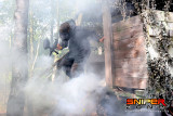 MICE MAM Paintball Sniper Zone IMG_5619 © Pixaeris