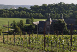 Terres du Val - Wanze - Extérieur - Vue depuis les vignes