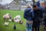 Ferme des Capucines - Activités de la ferme