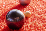 Boogle House - Pétanque