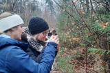 Be Alpha - La Reid - Teambuilding en forêt - Exploration nature - Arbre