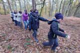 Be Alpha - La Reid - Teambuilding en forêt - Activité à l'aveugle