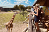 Monde Sauvage Safari - Aywaille - Groupe - Vue sur les girafes