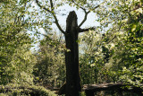 Moulin de Ferrières - Héron - Activité - Réserve naturelle du Bois de Ferrières