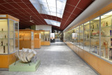 Aquarium Museum - Liège - Salle