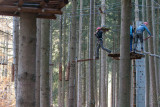 Forestia - Team building - Parc aventure - Parcours dans les arbres