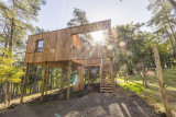 Forestia - Theux - Lodge Scott