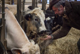 Ferme des Capucines - Latinne - Activité