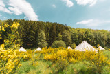 Daft Hotel - Glamping - Tente - Village